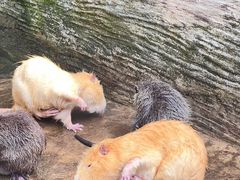 -海南热带野生动植物园