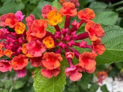 -杭州城北体育公园