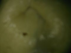 -吃不亏特色包子(三峡广场店)