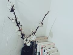 -MAISON门前杂货店