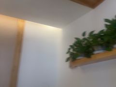 -金塔傣乡·云南民族特色菜·傣味手抓饭(金瓦路店)