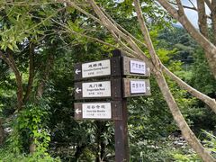 -石台牯牛降景区