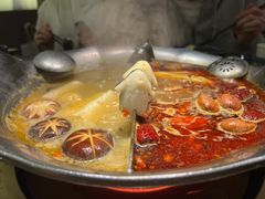 台式麻辣红颜花胶鸡鸳鸯锅-湊湊火锅·茶憩(打浦桥日月光店)