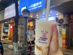 -一只酸奶牛(春熙路店)