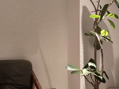 -争渡心理咨询全国连锁(福田店)