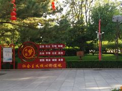 -团结湖公园