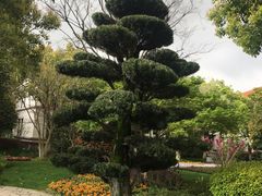 -张江润和国际总部园