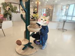 -共舞时光猫咖·狗咖(新街口店)