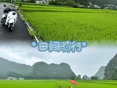 -万峰林风景区