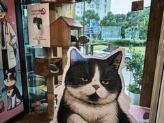 -哆趣宠物医院·眼科·内镜·急重症转诊中心(上海店)