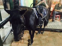 -四维羽毛球馆(北二中路店)