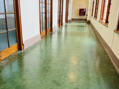 -香港大学
