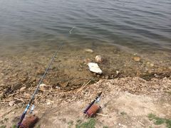 iphone_upload_pic-卧牛山度假村