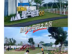 -南宁良凤江国家森林公园