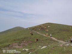 -五台山风景名胜区