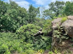-天津盘山风景名胜区