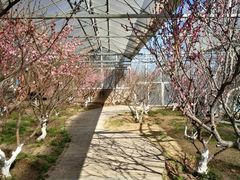 -北京鹫峰国家森林公园