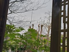 -苏城小院·园林精致苏州菜(斜塘老街店)