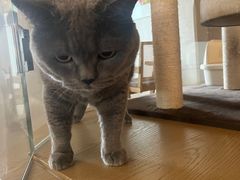 -Me Coffee下午茶艺术空间