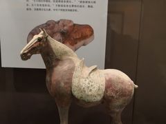 -西安大唐西市博物馆