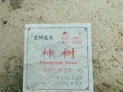 -龙王庙行宫