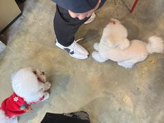 -PETKIT小佩宠物·低压洗护(国顺东路店)