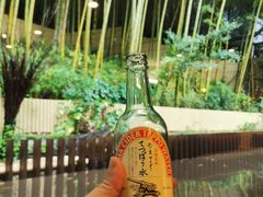 -有马温泉 竹取亭円山温泉旅馆