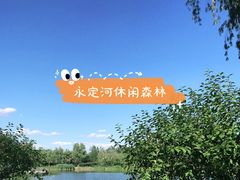 -永定河休闲森林公园