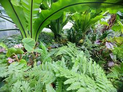 -国家植物园南园