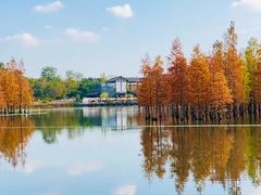 -白鹭湾湿地公园