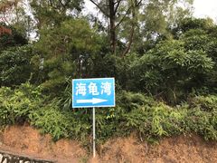 -广东惠东海龟国家级自然保护区