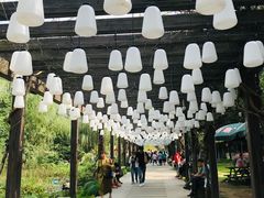 -白马涧龙池景区