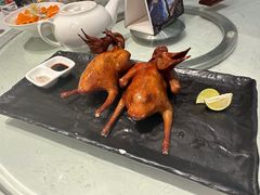 非遗红烧乳鸽-侨美·唐荔园·40年地道粤菜