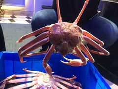 -蟹之国·精品蟹料理(极地店)