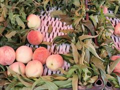 -三旗百汇商品城