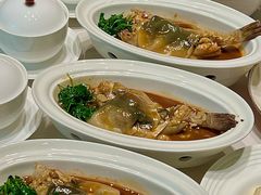 -新光酒家·河豚·海鲜·蟹料理(浦东店)