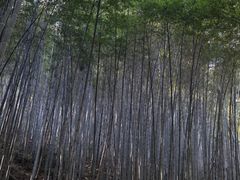 -敬亭山风景名胜区