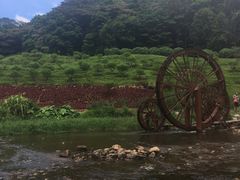 -广州市石门国家森林公园