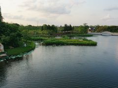 -映月湖公园