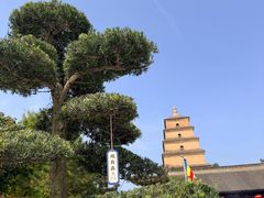 -大慈恩寺(大雁塔)