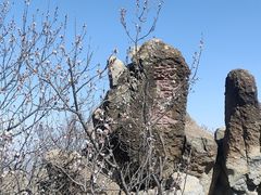 -鹫峰国家森林公园