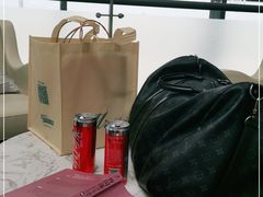 -虹桥机场国航贵宾室v8