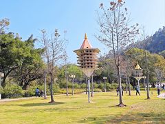 -顺峰山公园