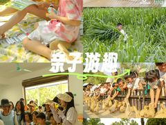 -郴州特产舜华临武鸭(郴州西站店)