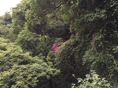 -白云山索道-售票处