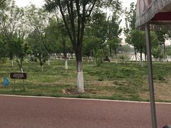 -武清南湖绿博园