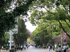-云南师范大学(一二一西南联大校区)