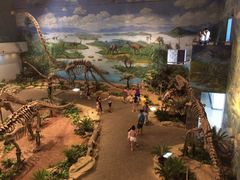 -自贡恐龙博物馆