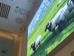 -西域胡氏大盘鸡(新华胡杨风店)