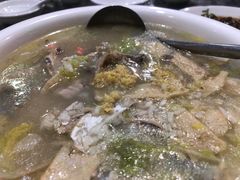 鱼头粥-官塘锋记鱼生·生腌·砂锅粥(牌坊街店)